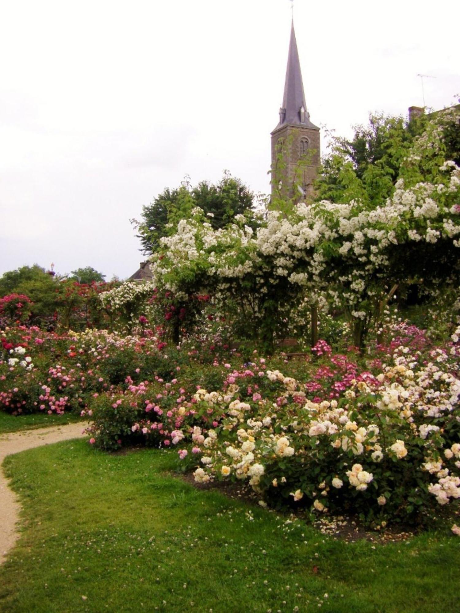 拉克鲁艾住宿加早餐旅馆 Sainte-Marie-du-Bois  外观 照片
