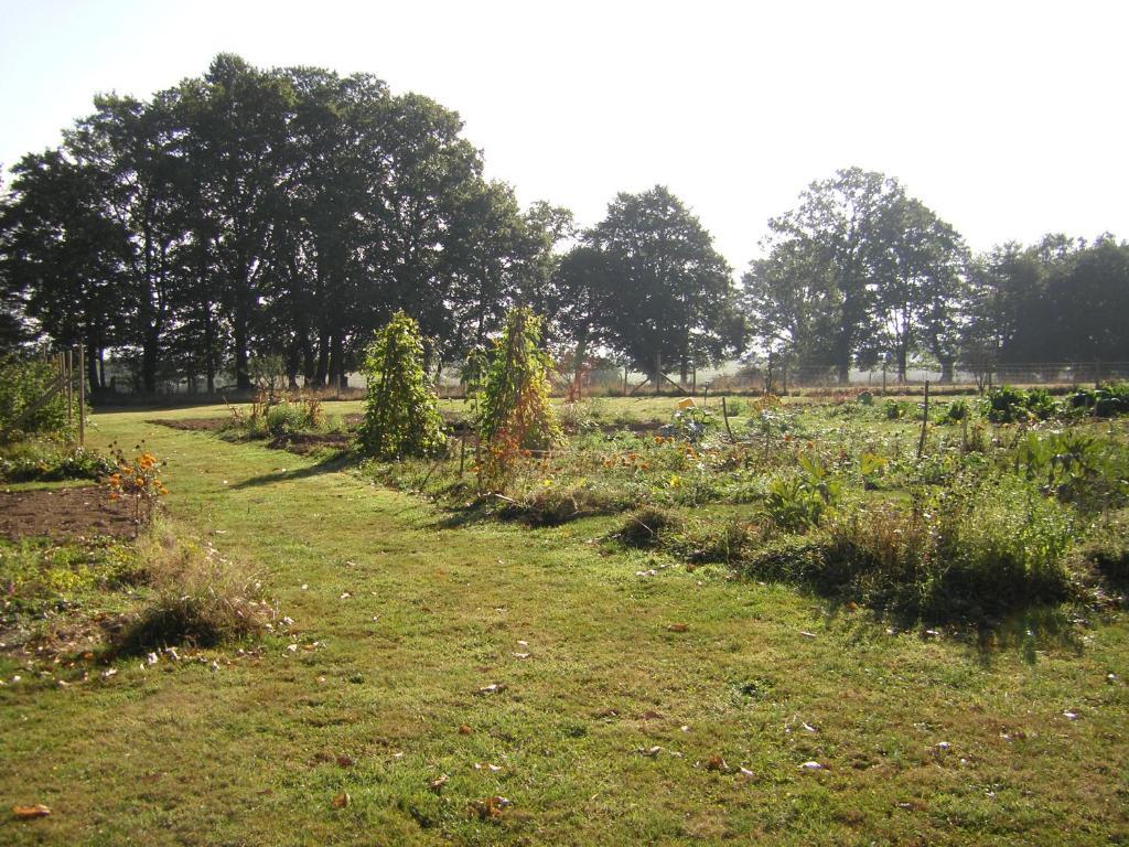 拉克鲁艾住宿加早餐旅馆 Sainte-Marie-du-Bois  外观 照片